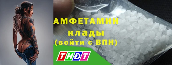 мдпв Елизово