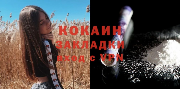 крисы Армянск