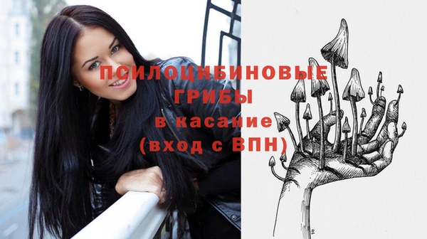 крисы Армянск