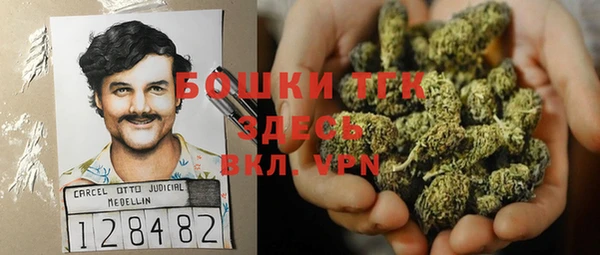 прущая мука Арсеньев