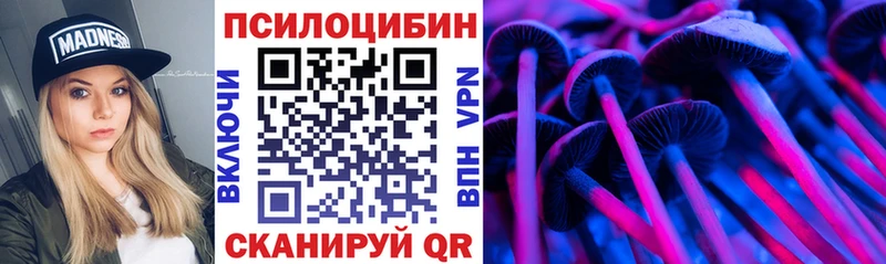 даркнет как зайти Майкоп Псилоцибиновые грибы прущие грибы
