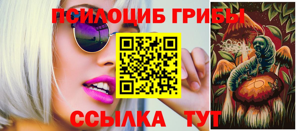 Псилоцибиновые грибы мухоморы  Псилоцибиновые грибы Cubensis  Майкоп  Вход с VPN 